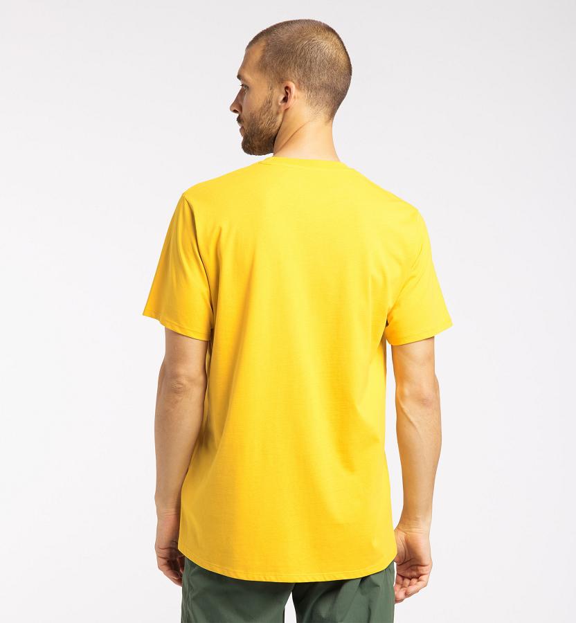 Haglöfs Mens Camp T-Shirt Yellow New Zealand 54671DIJU